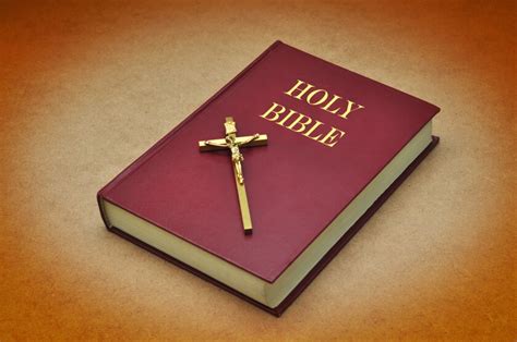The Bible Stands As The Supreme Constitution For All Mankind The San