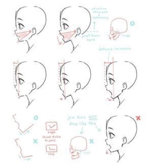 Anime Side View Side View Of Face Character Design Tips Character