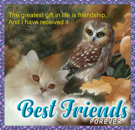 Thousands of free ecards and epoems including love poems, good morning messages, friendship poems, inspiration poems. An Owl And Cat Are Best Friends. Free Friends Forever ...