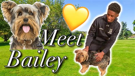 Meet Bailey Youtube