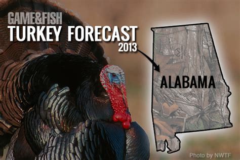 Maybe you would like to learn more about one of these? G&F Forecast: Alabama Turkey Hunting in 2013 - Game & Fish