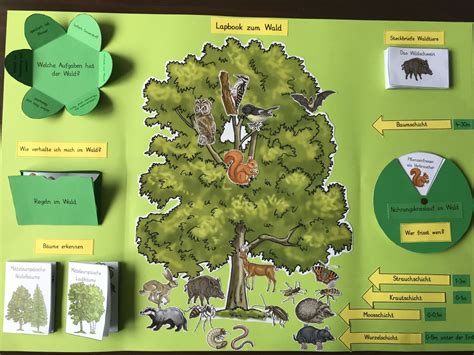 Lapbook vorlagen pdf wir haben 17 bilder über lapbook vorlagen pdf einschließlich bilder, fotos, hintergrundbilder und mehr. Worksheet Crafter