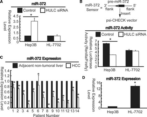 hulc inhibits mir 372 expression and activity a expression profiling download scientific