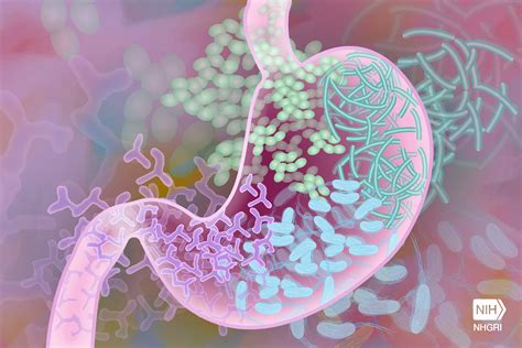 Bacteria Living In Your Gut May Help Diagnose Colorectal Cancer