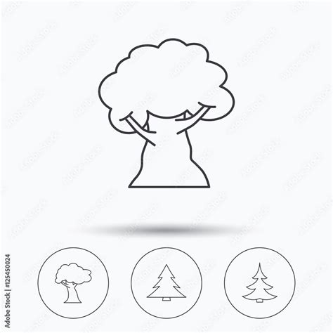 Tree Oak Tree And Christmas Tree Icons Векторный объект Stock Adobe