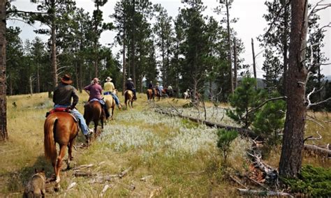 Rushmore |our horseback riding trails, custer trail ride, keystone trail ride and deadwood trail ride are perfect things to do near mount rushmore just minutes from rapid city, deadwood and custer state park! Black Hills Horseback Riding, Horse Trail Rides - AllTrips