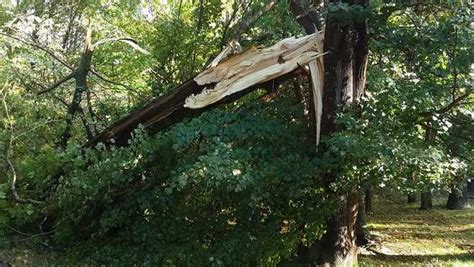 A tornado warning (same code: Meteorologists confirm small tornado hit Cape Cod Monday