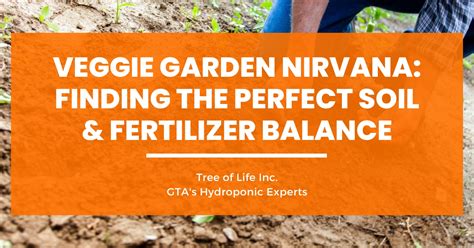 Veggie Garden Nirvana: Finding the Perfect Soil & Fertilizer Balance