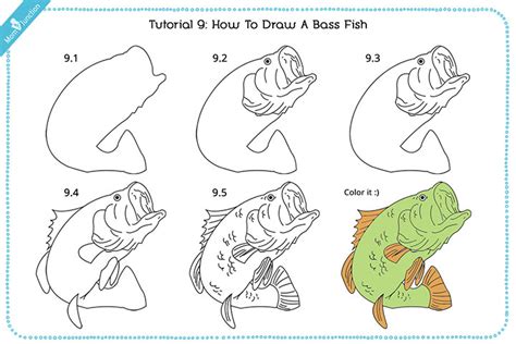 Https://techalive.net/draw/how To Draw A Bass Fish For Kids