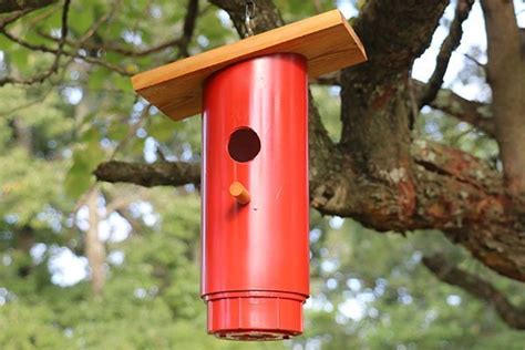 This article describes how to create a bluebird house kit that is easy to produce and costs very little. Blue Bird Nest Box Plans (Approved PVC Birdhouse Design ...