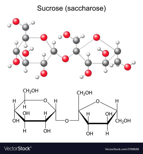 Structural Chemical Formula And Model Of Sucrose Vector Image