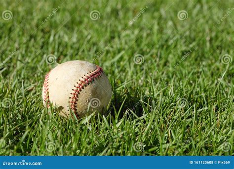 A Baseball Laying In The Grass Stock Photo Image Of Isolated Seam