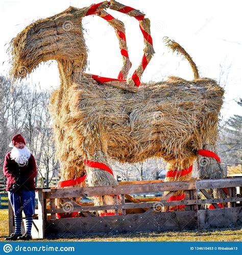 The Yule Goat Scandinavian Christmas Symbol Photo About World Yule