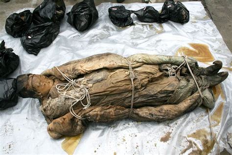 Nós os Cachorros No Japão Arqueólogos encontram múmia da dinastia