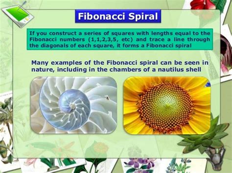 Mathematics In Nature