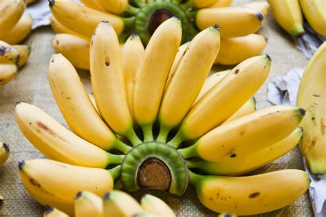 Costa Rican Project Gives Leg Up To Small Baby Banana Growers