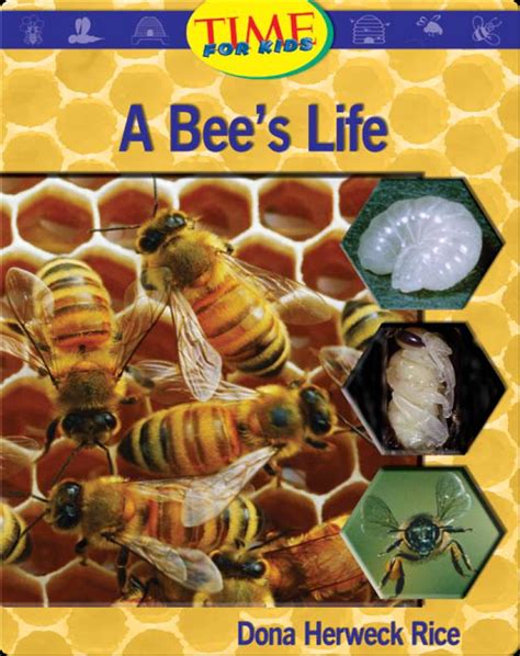 A Bees Life Childrens Book By Dona Herweck Rice Discover Childrens
