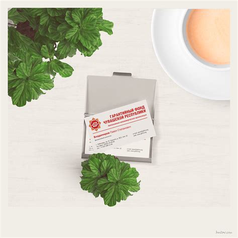 Business analyst help guide businesses in improving processes, products, services and software through data analysis. Business card for financial analyst Pavel Vladimirov on ...