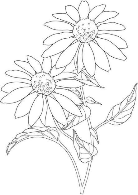 Garden Flower Drawing Dover Publications 50 Best Ideas