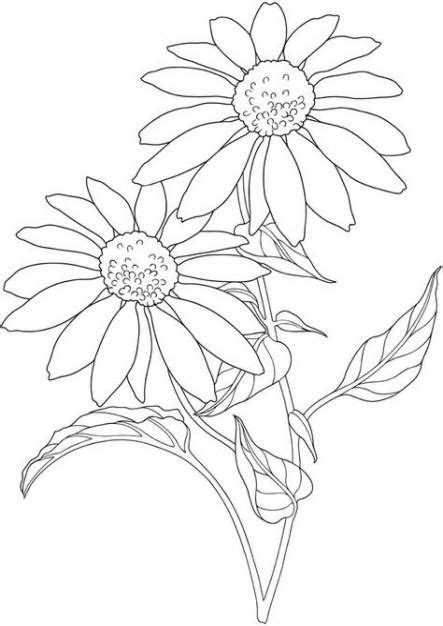 Adley Coloring Pages Coloring Pages