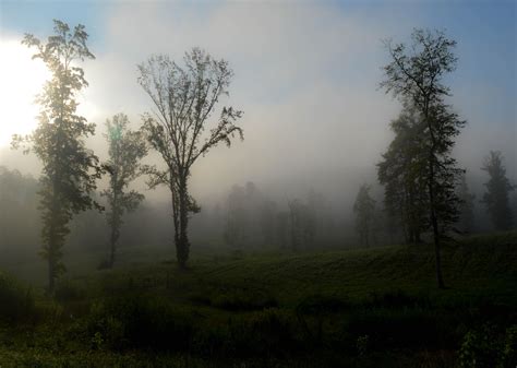 Foothills of the Great Smoky Mountains, Tennessee. Morning of the 2017