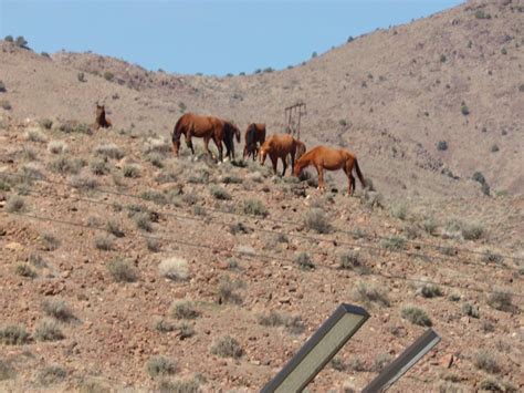 Dayton RV Park (NV) - tarifs 2023 mis à jour et avis camping - Tripadvisor