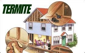 Mother nature's has been a pest control company that has provided a variety of pest control services in the oklahoma city and tulsa area to make your family's home comfortable and beautiful. Termite Control, Removal: Coweta, Muldrow, OK, Fort Smith ...