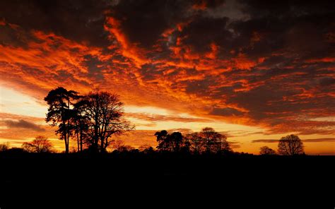 Download Wallpaper 3840x2400 Trees Silhouette Branches Sunset Black