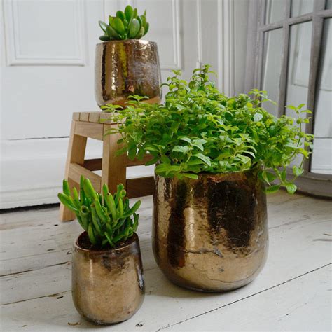 We did not find results for: Buy Divine Gold Indoor Plant Pots — The Worm that Turned ...