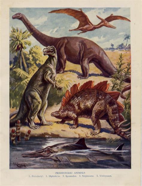 Triassic ∆ Jurassic ∆ Cretaceous — Pterodactyl Diplodocus Iguanodon