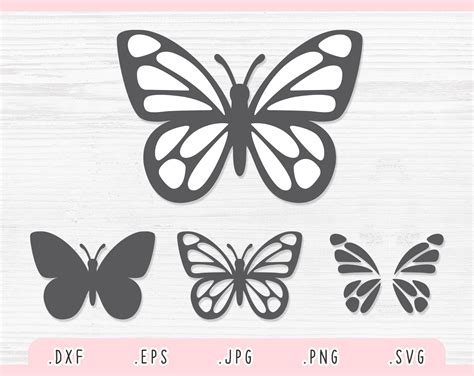 Butterfly Dxf For Cricut And Silhouette Ornamen Beautiful Butterfly Eps
