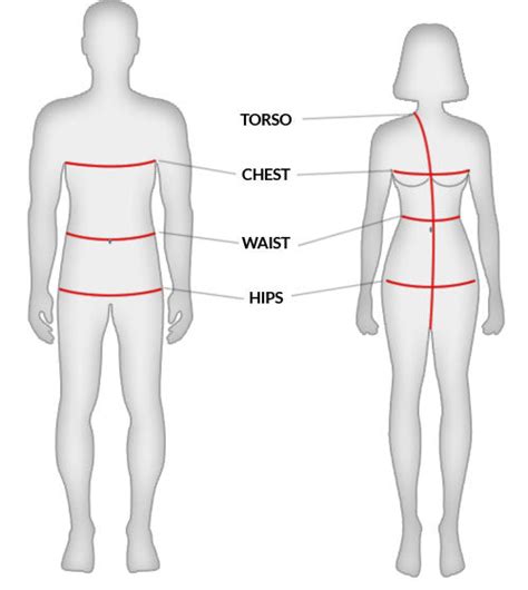 How To Measure Your Waist And Torso Size Images And Photos Finder
