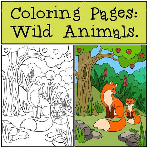 Coloring Pages Wild Animals Mother Fox Sits With Her Little Cute Baby