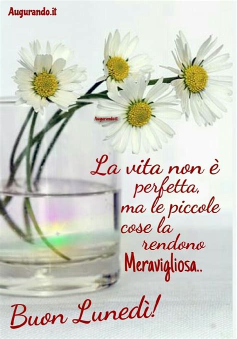 Buongiorno gif animate nuove 2321. Buon Lunedì con fantastiche immagini entra!