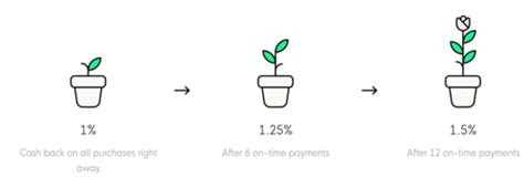 Cash flow technology may help applicants without credit history get approved. Petal Card Review: Now Offers Cash Back Rewards for Paying on Time | The Truth About Credit ...
