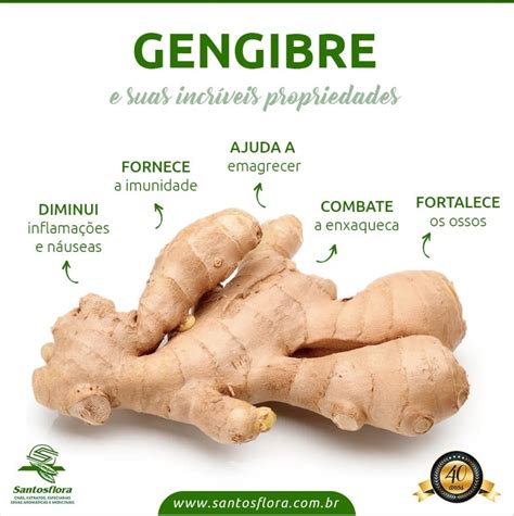 Gestante Pode Tomar Chá De Gengibre