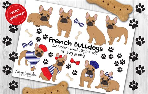 Download French bulldog vector clipart set ~ Illustrations ...