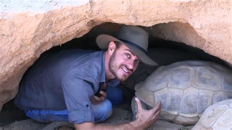 gigantic sulcata tortoises kamp kenan s1 episode 24 youtube