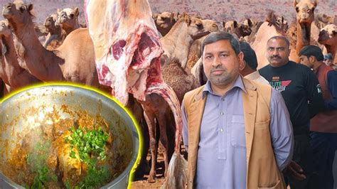 Dunia Ki Sab Say Bari Camel Market Aor Camel Meat Karahi | Camel Meat
