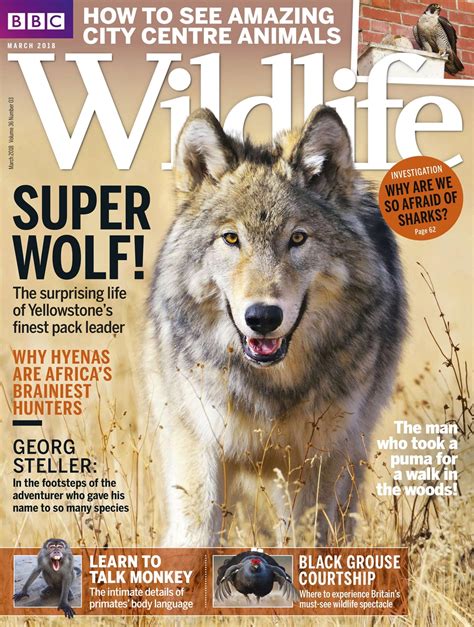 Bbc Wildlife Magazine March 2018 Subscriptions Pocketmags
