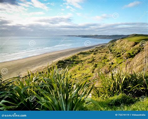 Isola Del Nord Nuova Zelanda Della Spiaggia Della Spuma Del Raglan