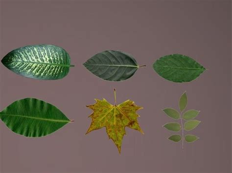 Leaf Alpha Textures