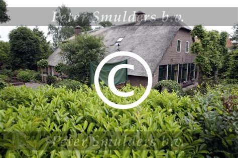 Check spelling or type a new query. Fotoarchief Peter Smulders BV