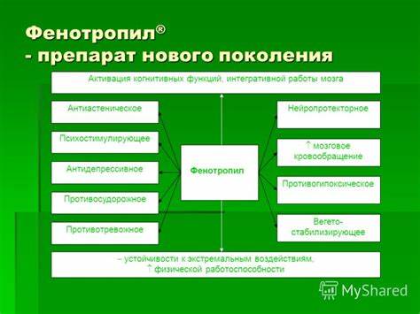 Фенотропил как похудеть отзывы