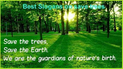Best And Catchy Save Trees Slogan Tis Quotes Save Trees Save Trees