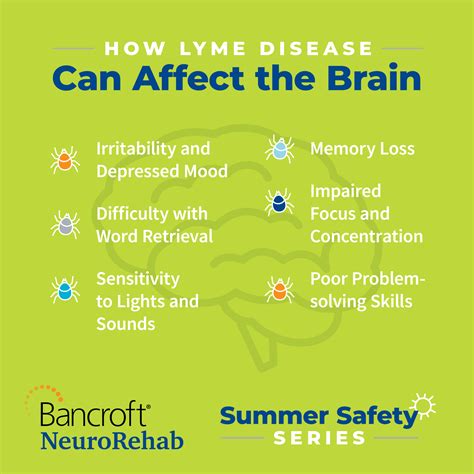 A Little Bite Can Go A Long Way Cognitive Effects Of Lyme Disease