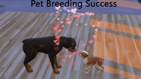 Pet Breeding Success By Pd1ds At Mod The Sims Sims 4 Updates