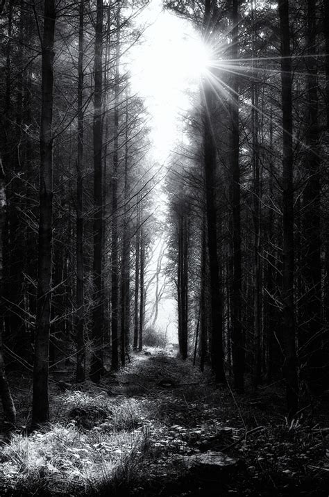 We did not find results for: Landscapes | Black and white aesthetic, Black and white painting, Black and white landscape