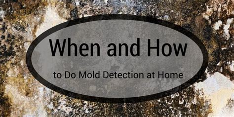 You can easily compare and choose from the 10 best mold detectors for you. How to Do Mold Detection at Home on Your Own Easily