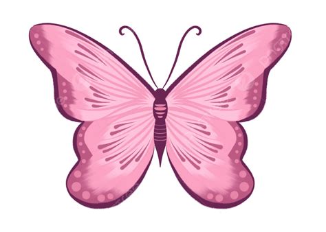 Butterfly Pink Butterfly Pink Butterfly Pink Png Transparent Clipart